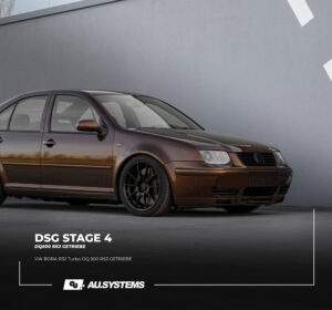 Read more about the article DSG STAGE 4 Optimierung VW Bora R32 Turbo
